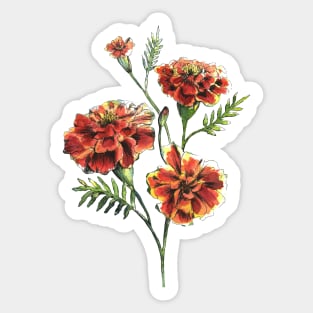 Marigold Flowers Watercolor Painting Sticker